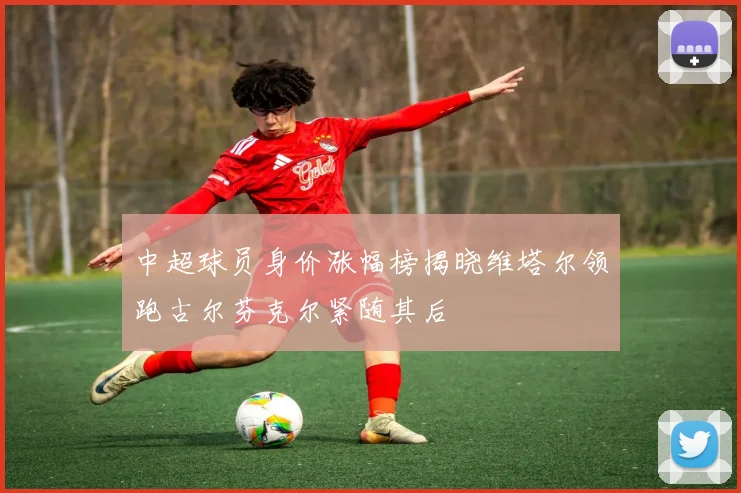 中超球员身价涨幅榜揭晓维塔尔领跑古尔芬克尔紧随其后