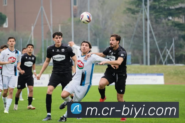 必一运动平台生态图